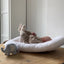 Rocking Nest