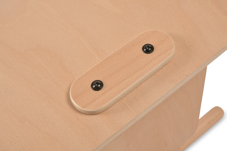 Rocking Horse & Perfect Arc balance board