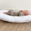 Rocking Nest